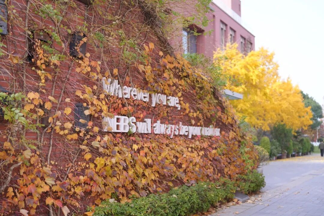 2026 首场校园开放日预告｜沉浸式感受校园魅力