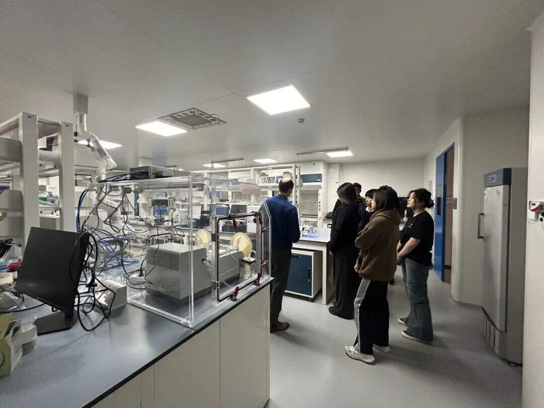 【实验比例高】高中医学课题:从DNA复制到3D打印,再生医学技术与组织工程的未来前沿 【实验比例高】高中医学课题:从DNA复制到3D打印,再生医学技术与组织工程的未来前沿