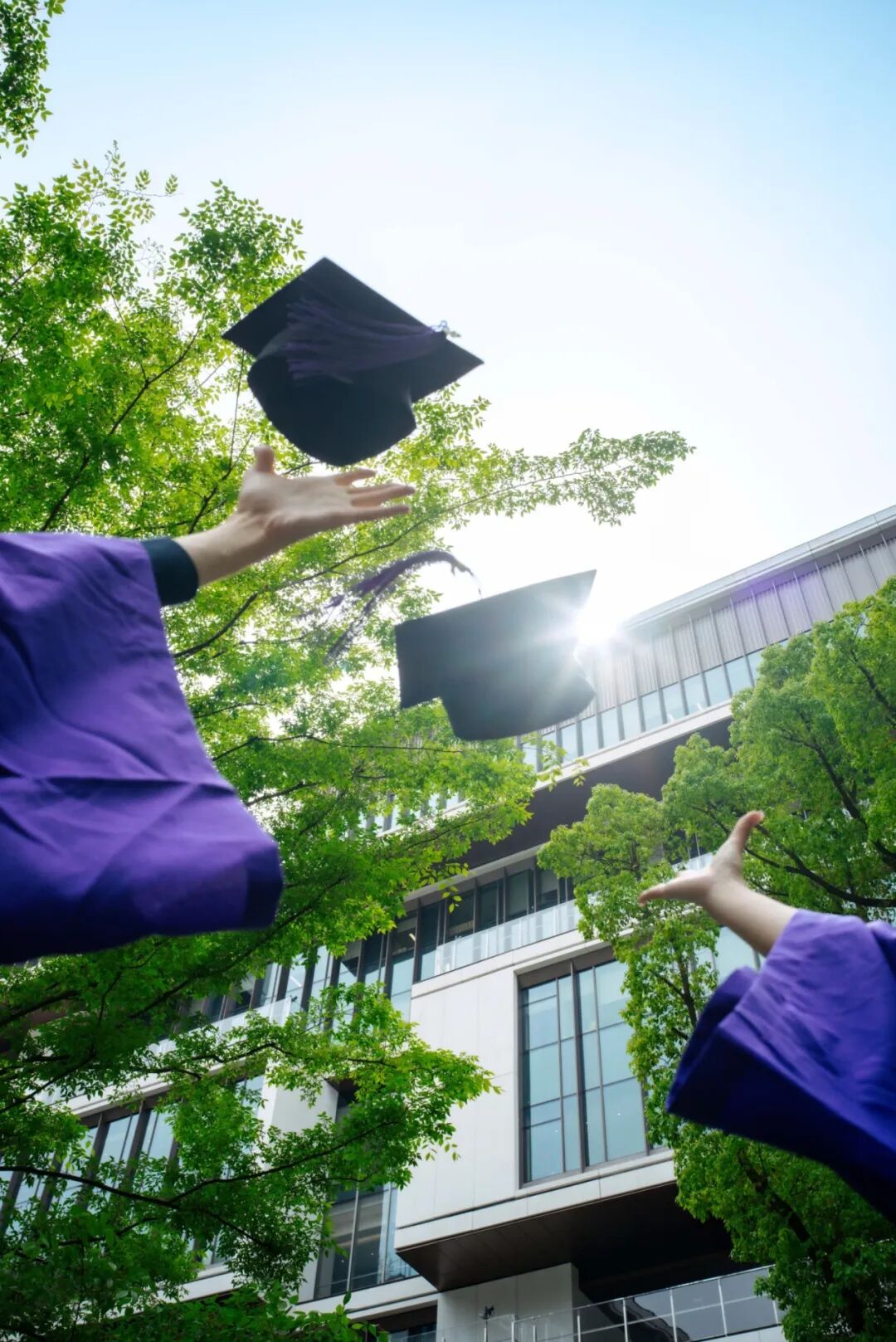 官方解读|2026 上纽大本科申请全流程拆解 官方解读|2026 上纽大本科申请全流程拆解