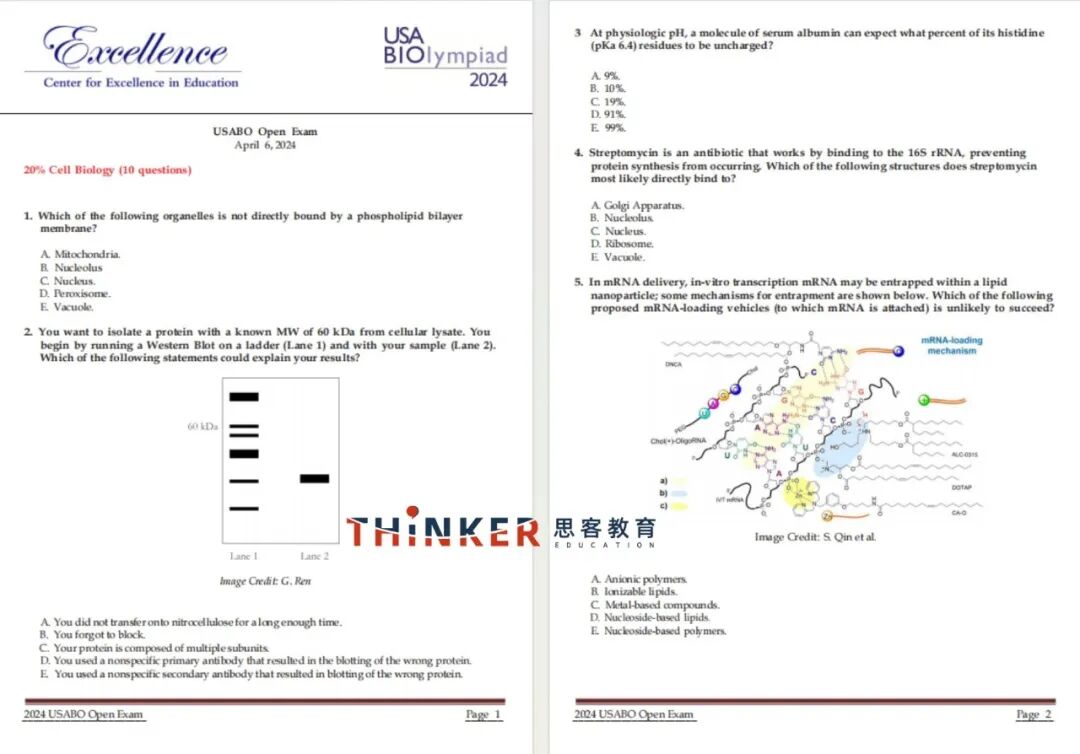 26年USABO（BIO-USACN）赛前必看：报名截止+考点难点+分体系备考+培训课程