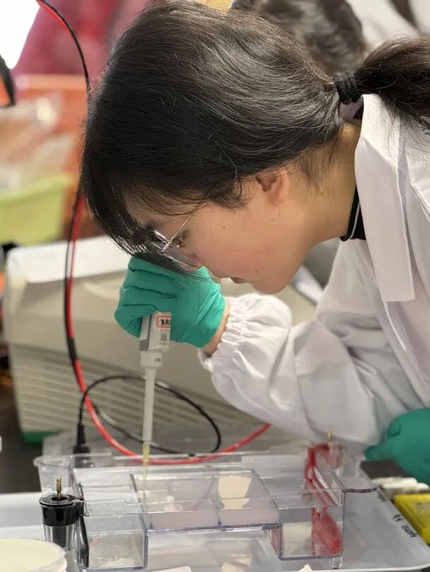 圣诞倒计时|CAR-T免疫疗法实验室最后席位,把“抗癌”写进简历! 圣诞倒计时|CAR-T免疫疗法实验室最后席位,把“抗癌”写进简历!