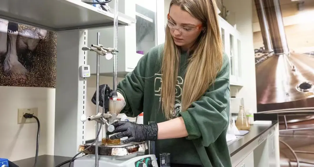 欧洲留学 | 把科学酿进生活里：葡萄酒工程! 英语联申(荷兰/瑞典/丹麦/意大利/法国）