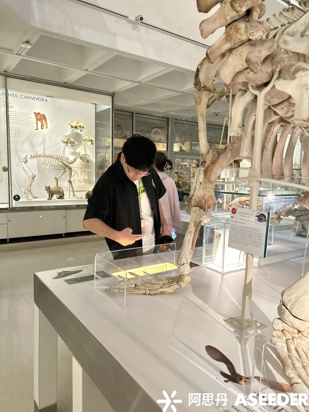 剑桥官方超级课程推荐：为什么BBO能成为顶尖大学判断生物学潜力的重要依据?