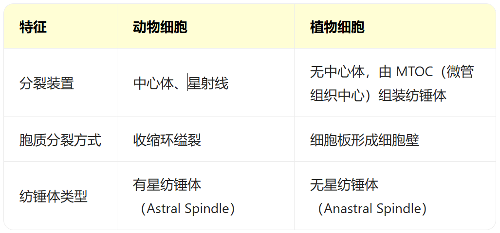 【机构剑桥名师讲生竞】细胞生物学—细胞分裂详解！附机构生物竞赛直通车课程培训~