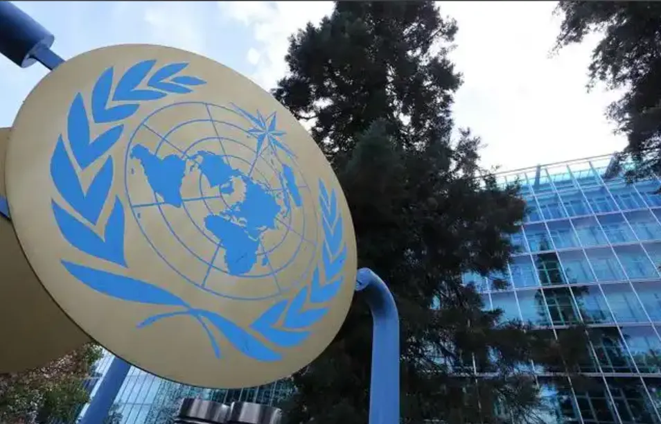 寒假项目|2026瑞士日内瓦国际实训项目 寒假项目|2026瑞士日内瓦国际实训项目