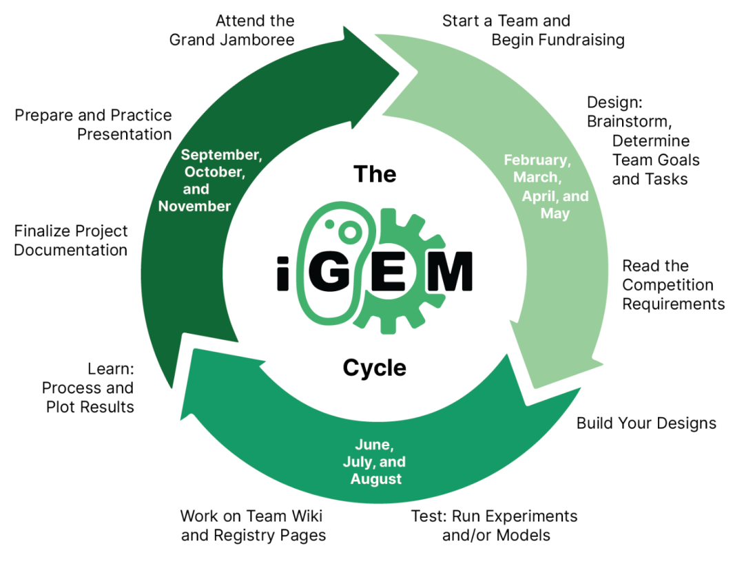 iGEM新赛季已经开始!这份参赛流程表请务必提前收藏!! iGEM新赛季已经开始!这份参赛流程表请务必提前收藏!!