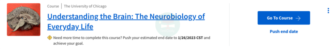 生物国际竞赛圈“新秀”Brain Bee，零基础也能挑战？