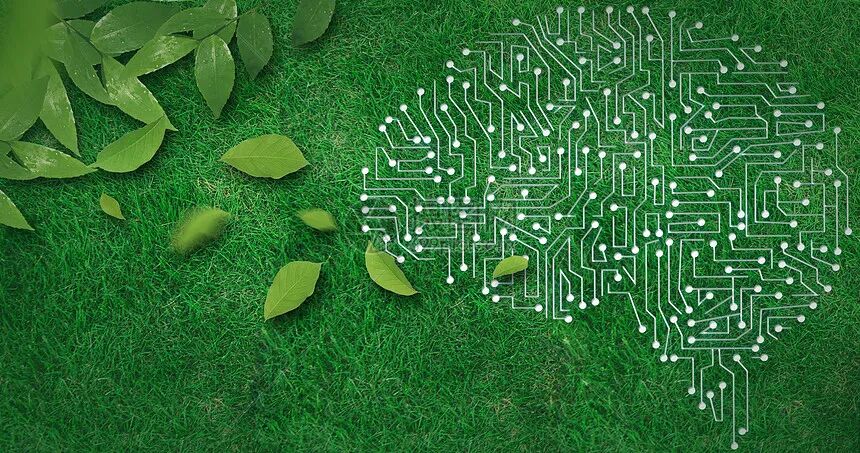 圣安德鲁斯大学深度解析:600年皇室菁英学府,小班教育+低中国学生占比的留学天花板 圣安德鲁斯大学深度解析:600年皇室菁英学府,小班教育+低中国学生占比的留学天花板