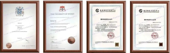 山東地區(qū) | 中國(guó)海洋大學(xué)sqa3+1國(guó)際本科招生簡(jiǎn)章！