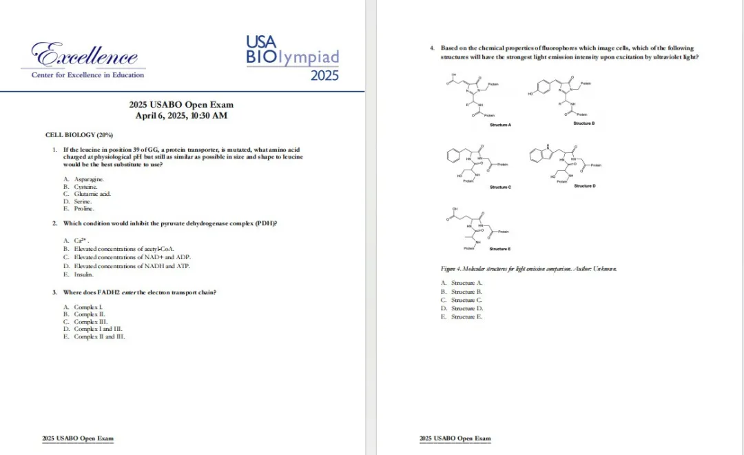 机构剑桥名师讲生竞——植物茎的初生生长与次生生长详解！附USABO和BBO生物竞赛课程培训！