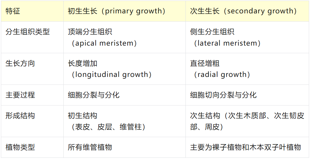 机构剑桥名师讲生竞——植物茎的初生生长与次生生长详解！附USABO和BBO生物竞赛课程培训！