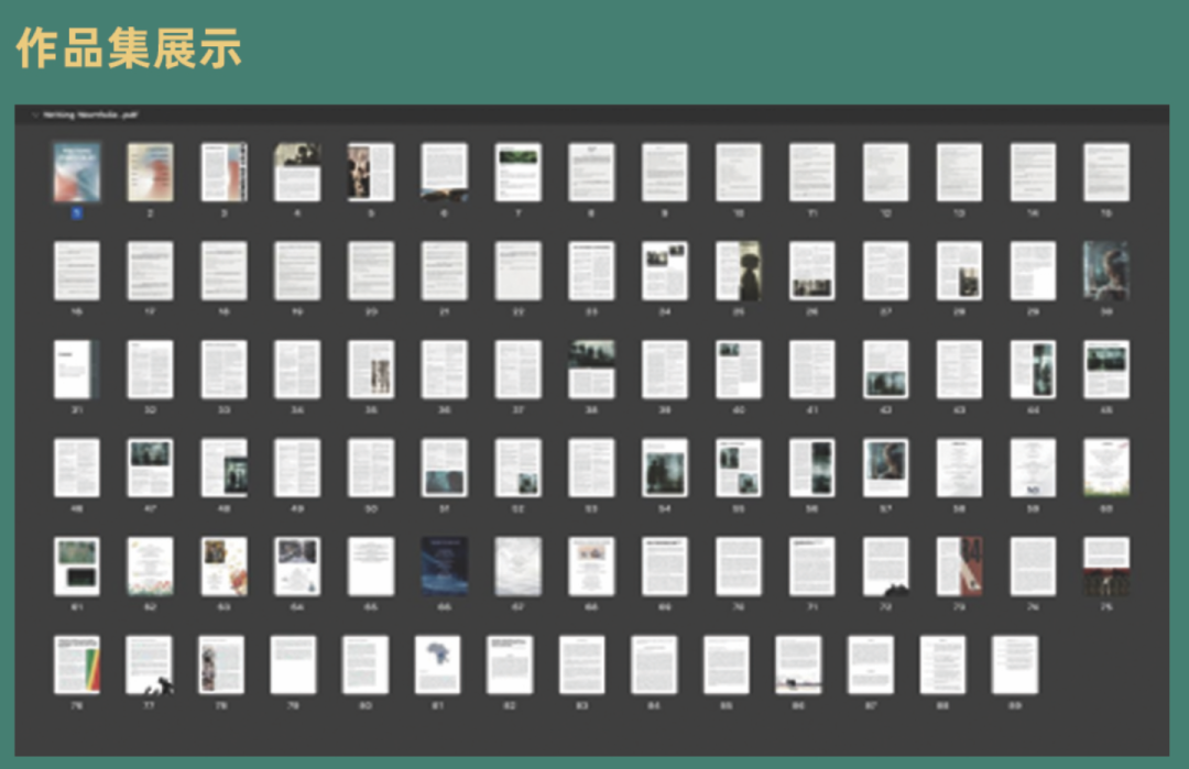 讲座复盘｜美本早申启示：顶尖名校为何偏爱“有人文温度”的申请者