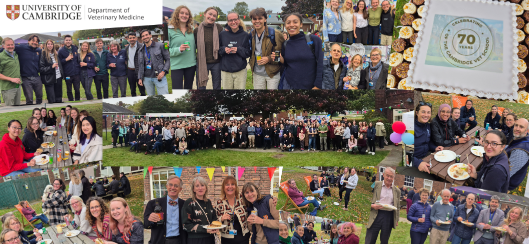 剑桥要砍王牌兽医专业!2027年起停申,最后机会在2026fall? 剑桥要砍王牌兽医专业!2027年起停申,最后机会在2026fall?