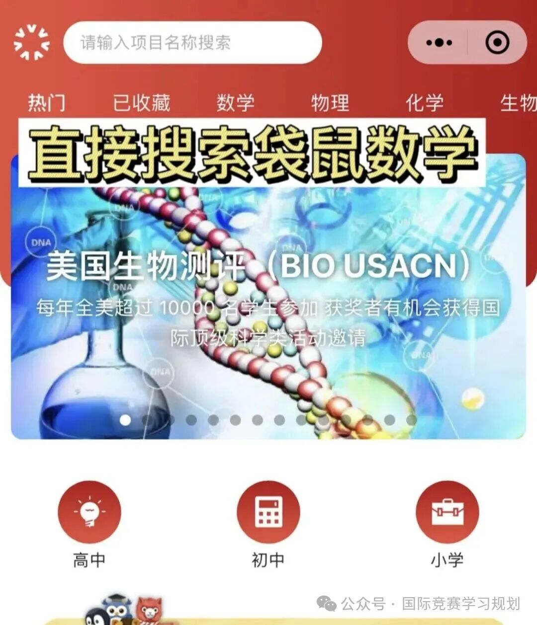 袋鼠数学竞赛凭什么参加的人数越来越多？竞赛优势/报名路径/考试知识点解析~