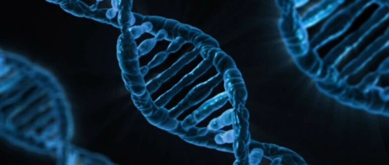 USABO/BBO“双顶流”生物竞赛国内报名进行中 报名考试一步到位全掌握！