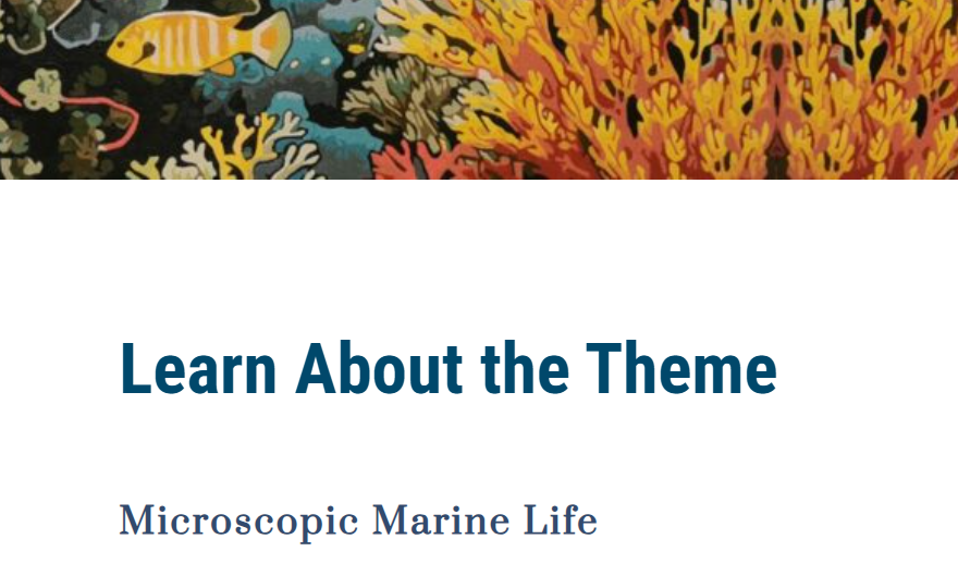 竞赛月历 | 哈佛、纽约时报、NASA都在抢人！12月顶尖竞赛全汇总