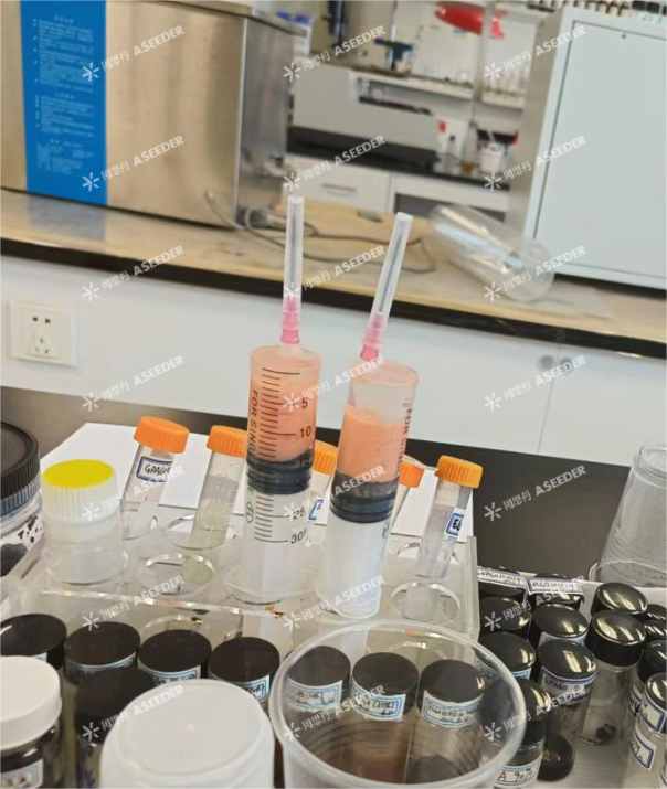 ASDAN EPQ数学/化学方向高分选题盘点