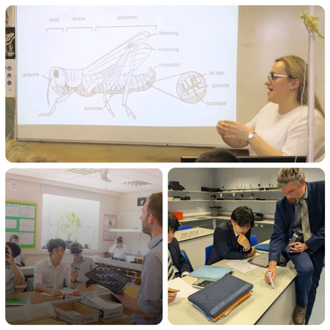 穿过五百年时光的校门:访校九大公学Shrewsbury School的一天 穿过五百年时光的校门:访校九大公学Shrewsbury School的一天