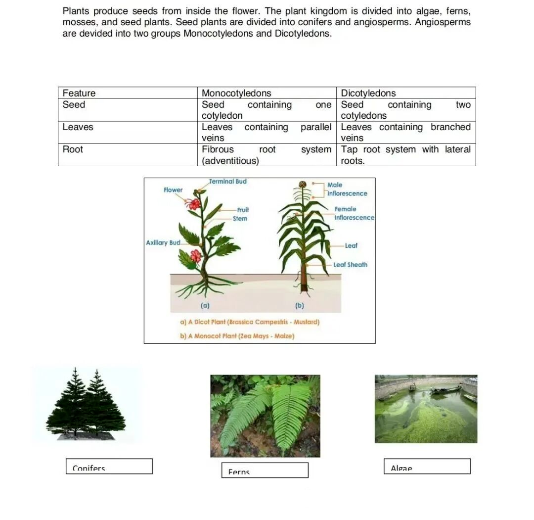 IGCSE不同分数段备考规划！10年名师冲A建议！附成都IGCSE寒假辅导课程安排