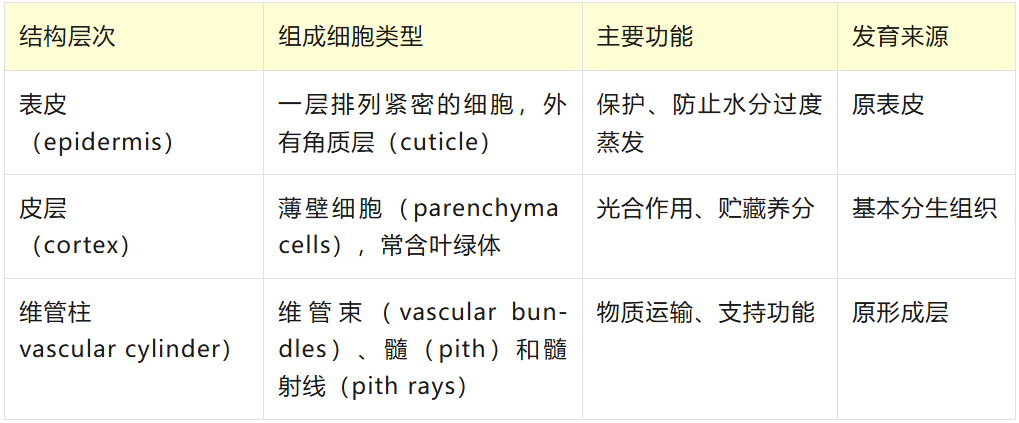 机构剑桥名师讲生竞——植物茎的初生生长与次生生长详解！附USABO和BBO生物竞赛课程培训！