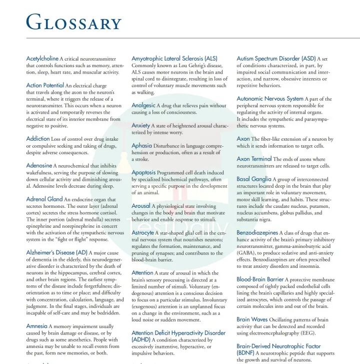 生物国际竞赛圈“新秀”Brain Bee，零基础也能挑战？