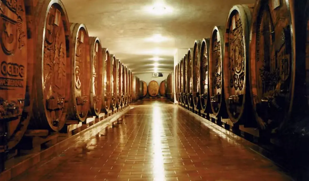 欧洲留学 | 把科学酿进生活里：葡萄酒工程! 英语联申(荷兰/瑞典/丹麦/意大利/法国）