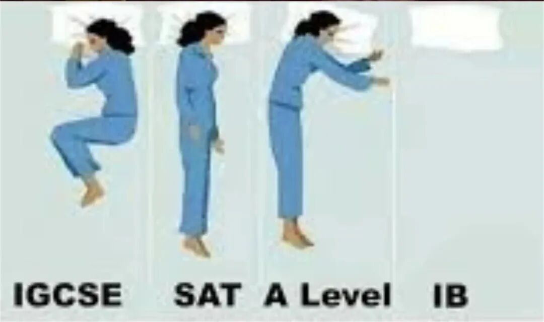 IB45分学霸都有5大共性?揭开IB满分面纱!附机构【规划-授课-练习】IB课程辅导路径 IB45分学霸都有5大共性?揭开IB满分面纱!附机构【规划-授课-练习】IB课程辅导路径