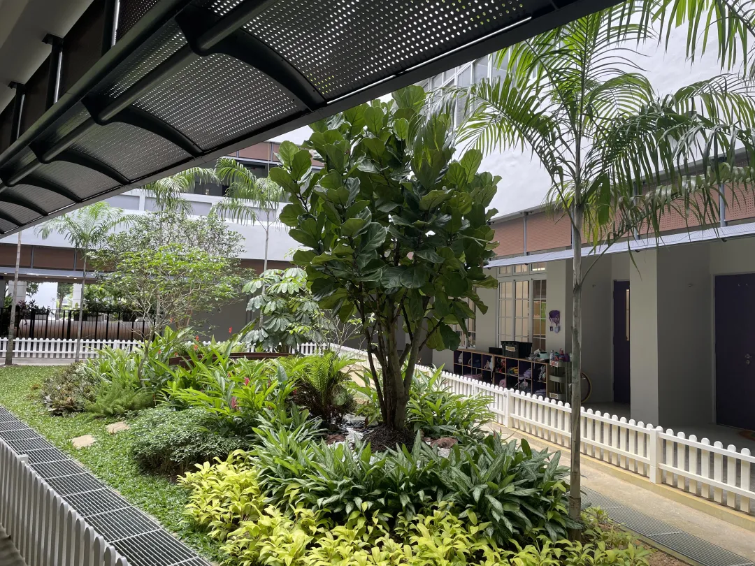 新加坡佩斯学校2026年开设A-Level课程开启K12全段招生！