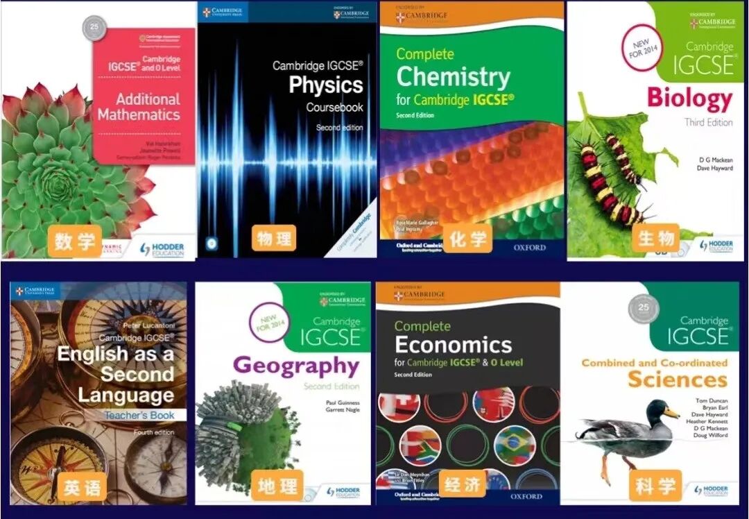 IGCSE课程该怎么学习？IGCSE寒假全科辅导小班/一对一可选