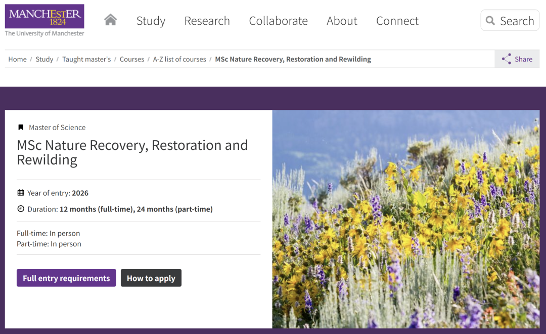 【英国留学】低竞争高潜力，26Fall英国TOP10大学新增硕士专业汇总！