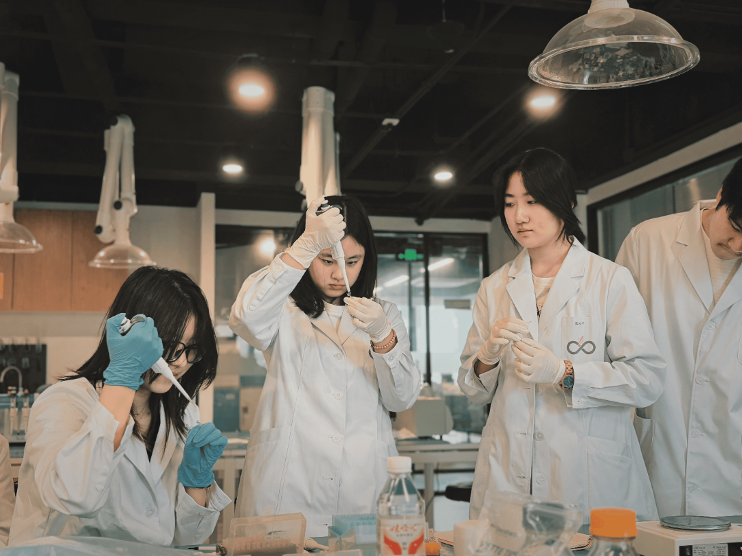 iGEM全球金奖背后，宏文STEM教育如何培养“能解决问题的人”？