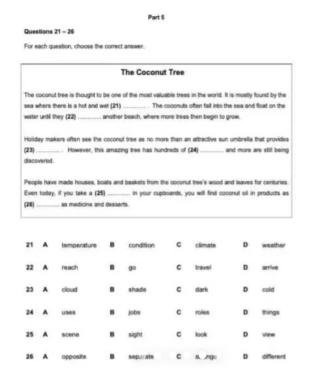 纯干货|PET阅读答题攻略速存！