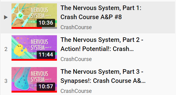 高含金量“申请利器”,为你打开神经科学大门 | Brain Bee竞赛经验分享 高含金量“申请利器”,为你打开神经科学大门 | Brain Bee竞赛经验分享