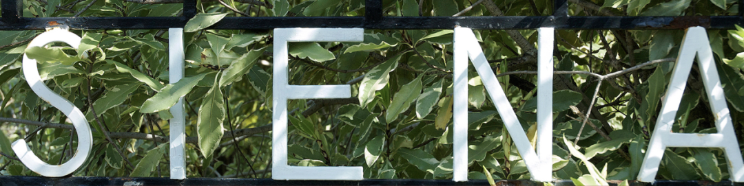 【墨尔本市区走读女校】Siena College 锡耶纳学院！