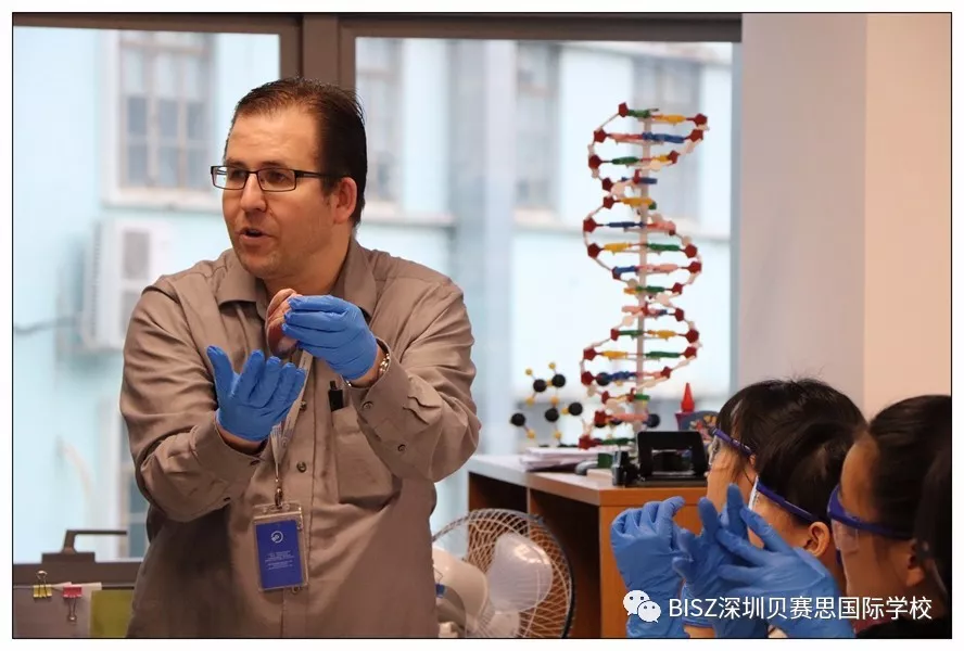 深度解析贝赛思生物课程体系+学习难点 深度解析贝赛思生物课程体系+学习难点