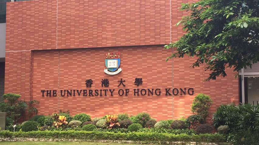 香港大学社会工作学系全奖博士招生 | Prof. Frances