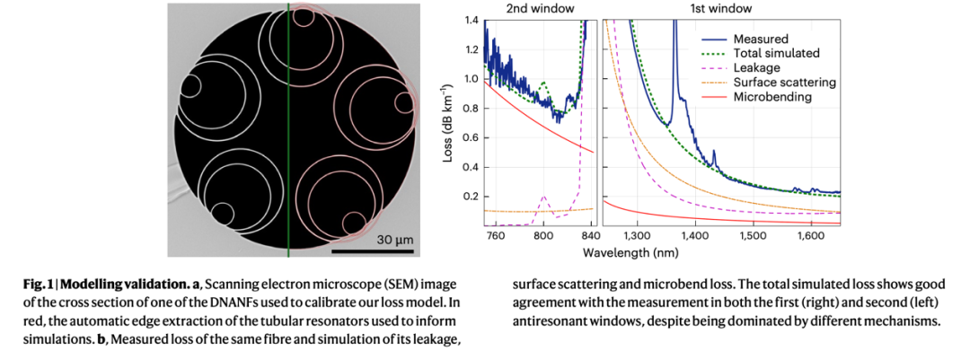 2025年前沿科技盘点：哪些方向正在成为青少年科创热点？