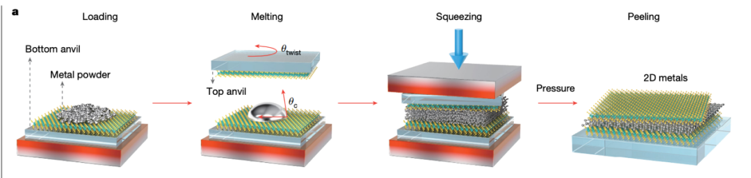 2025年前沿科技盘点：哪些方向正在成为青少年科创热点？