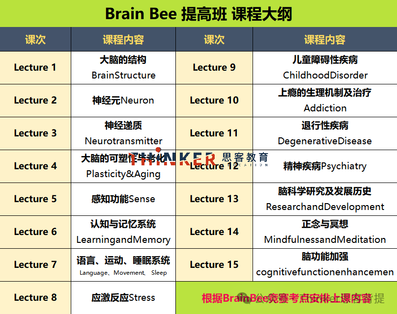 Brain Bee竞赛个人报名即将开启！报名方式&官方模拟知识点，脑科学地区+全国赛一站式辅导~