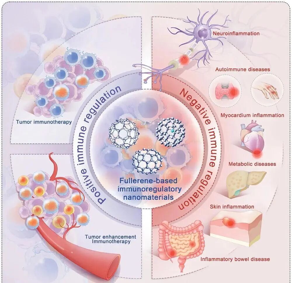 探秘诺贝尔级纳米科技！5天解锁富勒烯抗衰奇迹，高中生也能玩转实验室！
