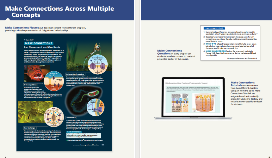 2026年USABO时间/考点/含金量一次讲透！附USABO辅导课程