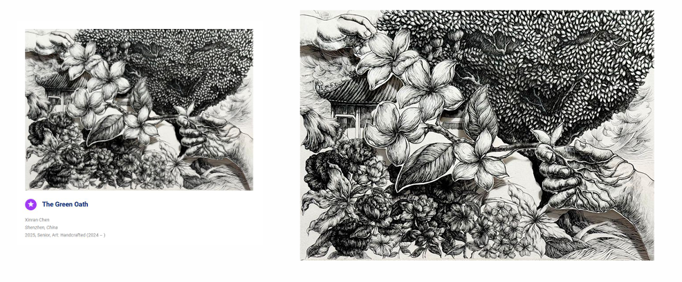 非艺术生也能冲的顶级艺术赛事！Bow Seat海洋意识竞赛2026正式启动！