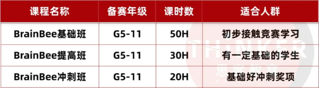 探索大脑奥秘：BrainBee脑科学竞赛全解析