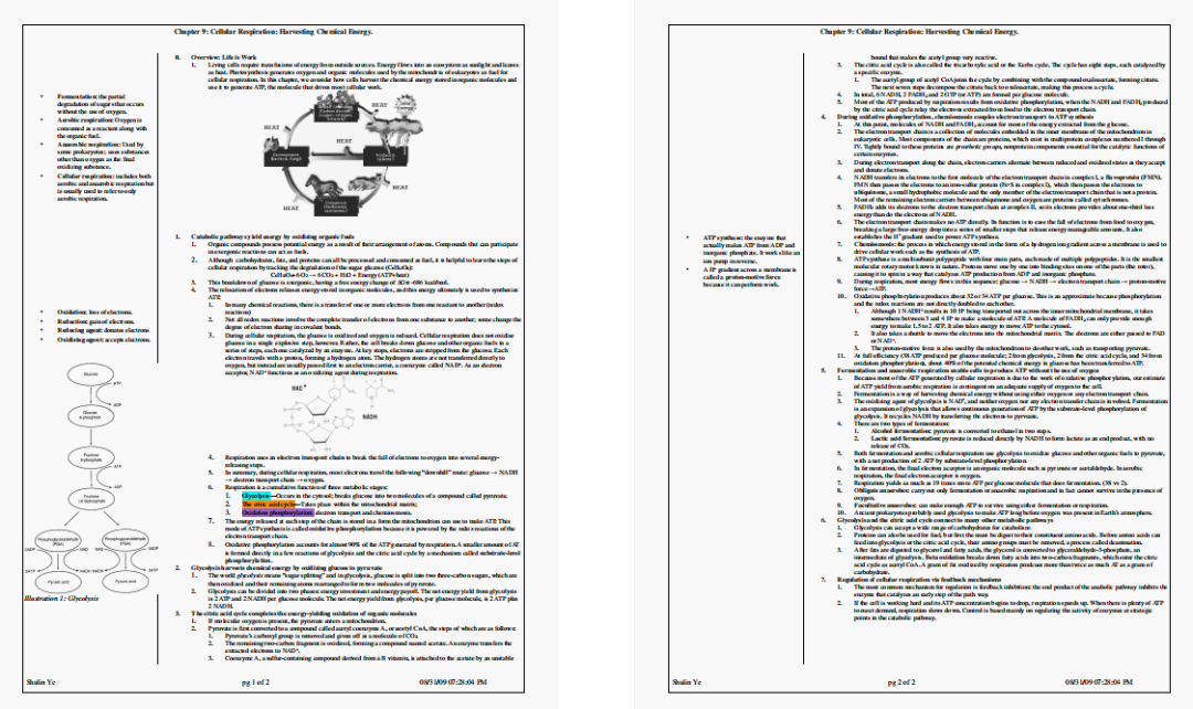 国际生都在用这份USABO生物知识点笔记 国际生都在用这份USABO生物知识点笔记
