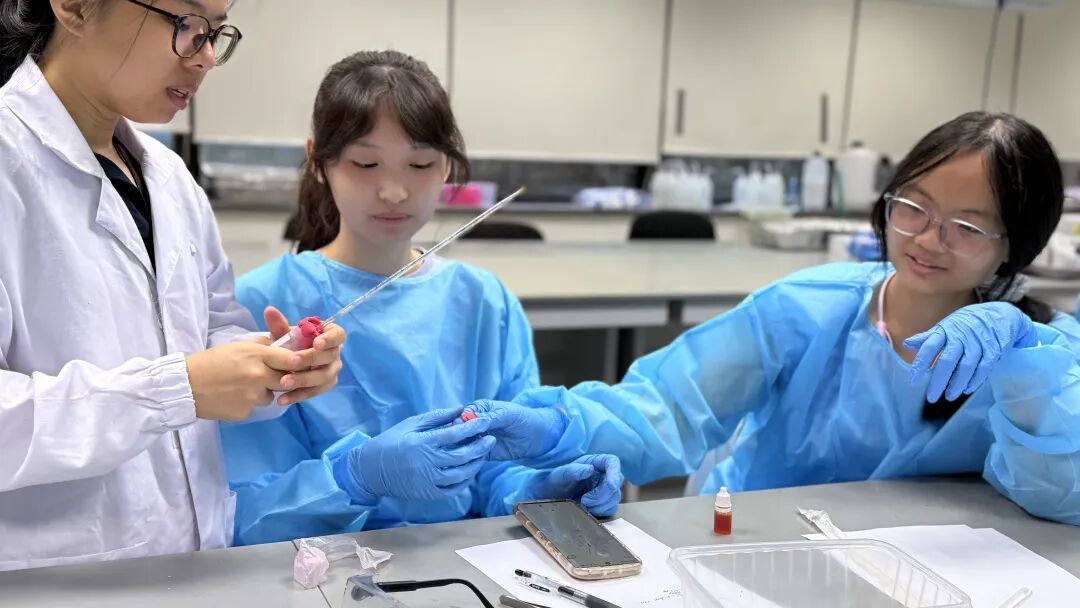 【新加坡】NUS/NTU取消标化！新加坡名校申请破局，冬夏校如何加分？