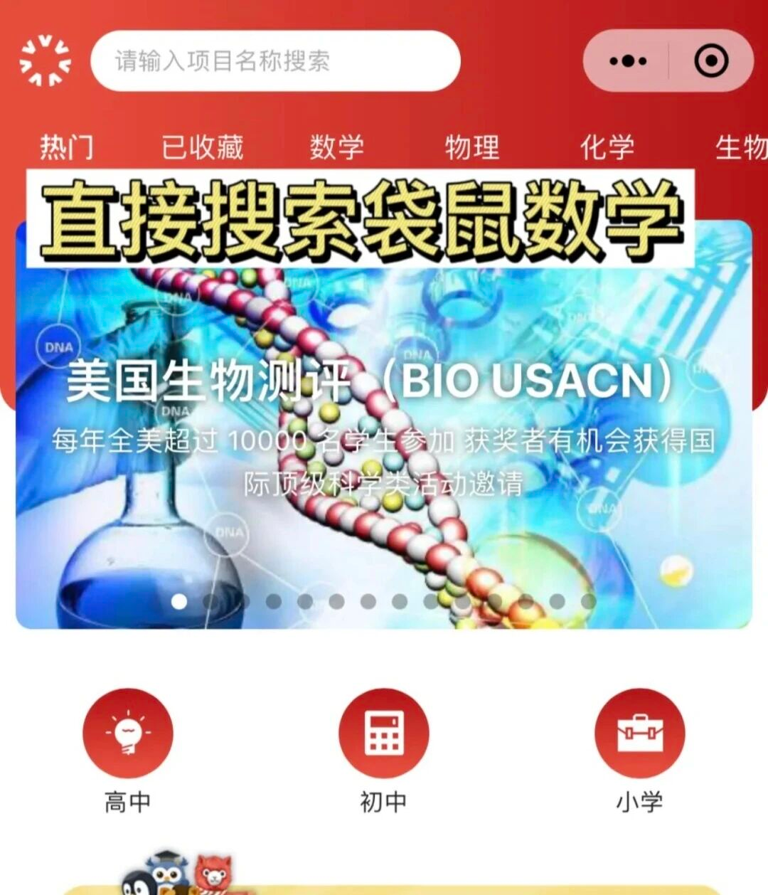 2026年袋鼠竞赛三大报名方式详解！附高分冲奖路径及代报名服务