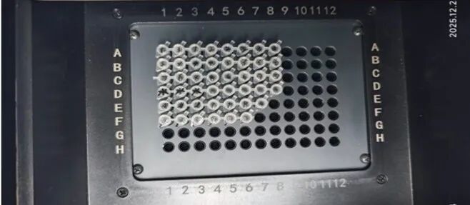 从苏州园林到联合国SDG实验室：Kaelan的科学探索进阶之路