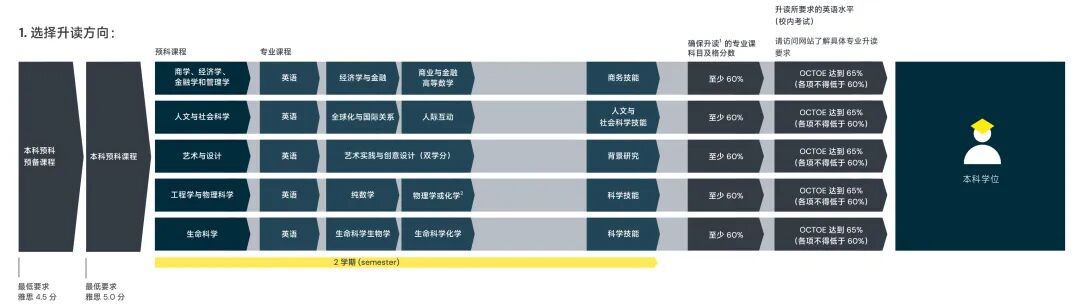 南安普顿大学预科全攻略：无缝衔接英国名校的黄金路径