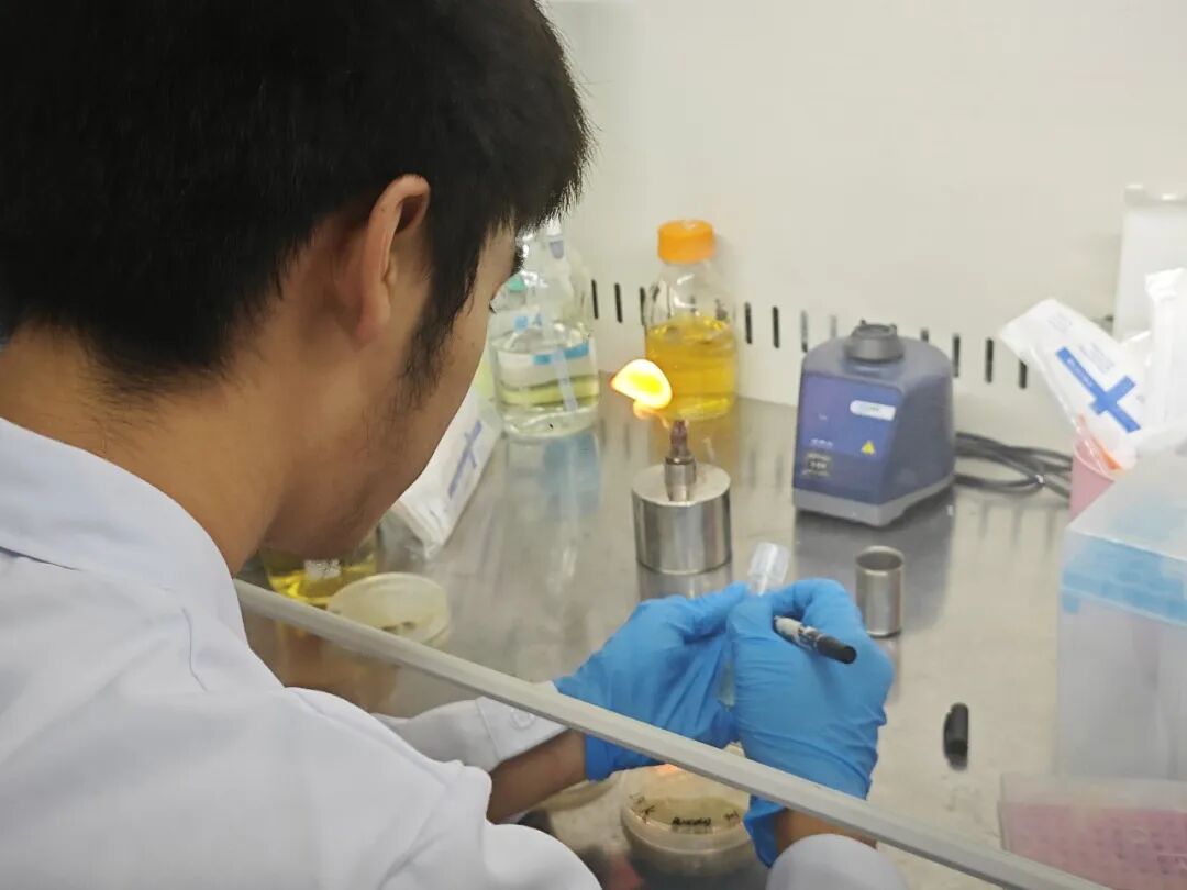 合成生物学的星光舞台：iGEM基因工程大赛 || iGEM经验分享