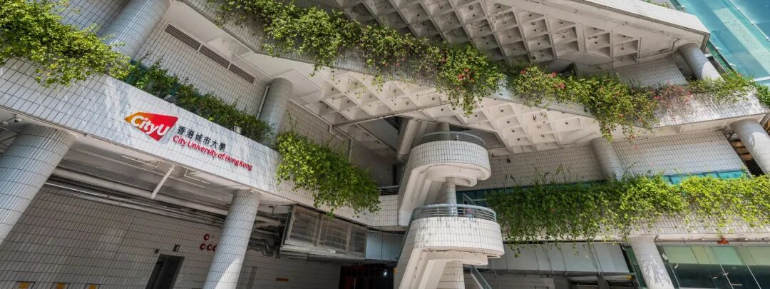 2026Fall香港城市大学本科申请条件汇总！（普高/AP/IB/AL申请要求）